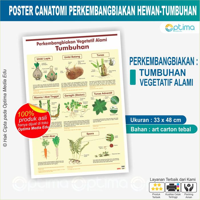 Gambar Poster Carta Anatomi Struktur Proses Jenis Perkembangbiakan Hewan dan Tumbuhan SD, SMP, SMA, PT - P.Tbhn Veg Alam dari Optima Media Edu undefined Tokopedia