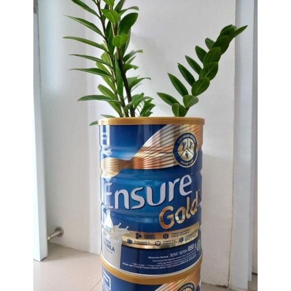 Gambar Best Seller Ensure Gold 850gr Vanilla (EXP:Juni2025) dari Rani&#39;s Food undefined Tokopedia