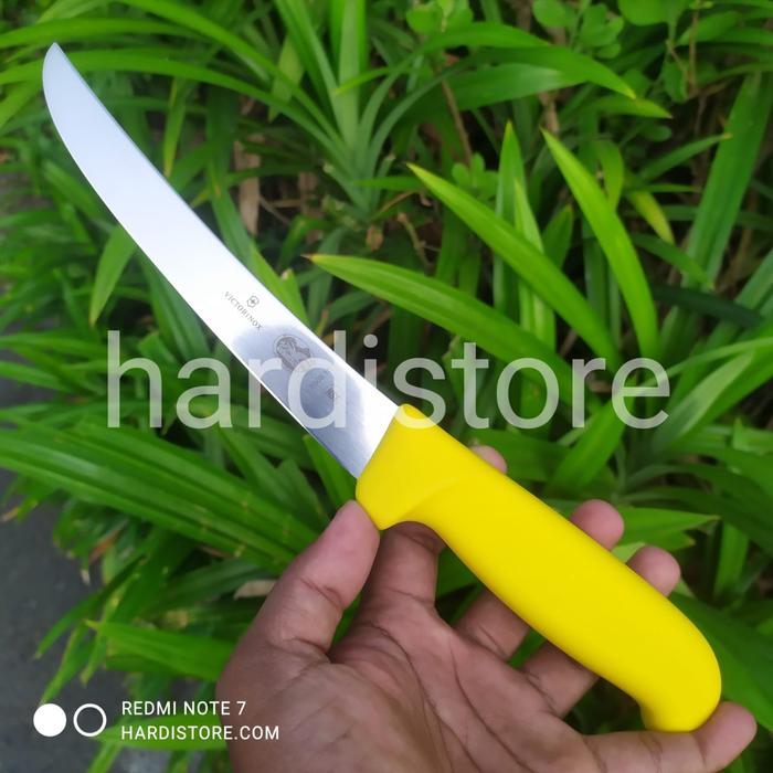 Gambar Pisau Boning Victorinox 15 cm Pelepas Daging Curve 5.6503.15 Black Fibrox Handle Original Swiss - Kuning dari Hardistore Superpisau undefined Tokopedia