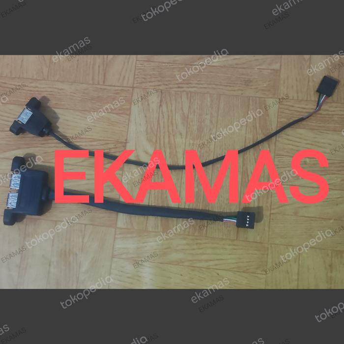 Gambar TAMBAHAN USB EXPANSION HEADER KABEL INTERNAL CPU PC MINIPC MINI PC ASROCK DESKMINI DESK MINI 2X 2 X USB 2.0 INTERFACE ADAPTER CABLE INSTALLATION KIT X300 X600 110 310 A300 H470 B660 B760 1 PORT 2 PORT USB - Hitam, 1 PORT USB dari ekamas undefined Tokopedia