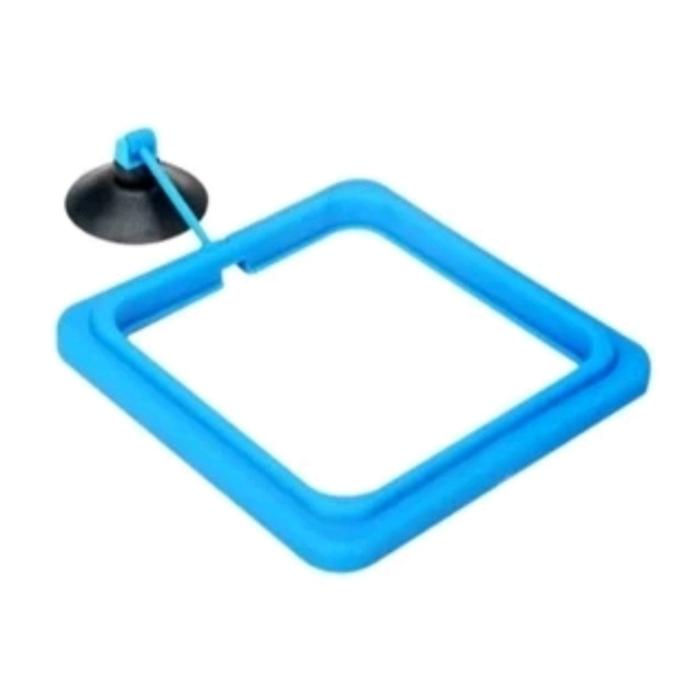 Gambar Feeding Ring Kotak Bulat Floating Tempat Pakan Akuarium Ikan - kotak biru dari payaquarium undefined 4 Tokopedia