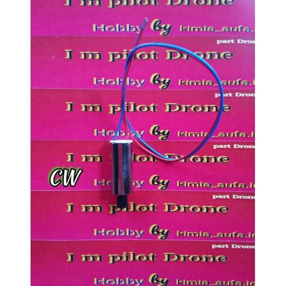 Gambar Promo!!! Dinamo Drone Phip P10/P01 - CW dari yuutase undefined Tokopedia