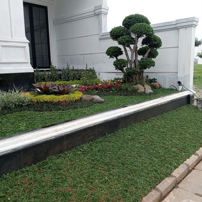 Gambar pembuatan taman dik PIK 2 HP 085211551571 Supriyadi dari kiosbunga99 undefined Tokopedia