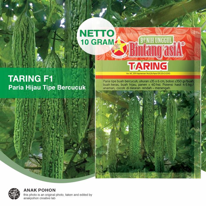 Gambar (1 PACK) Benih Paria TARING F1 Hibrida Seeds - Bintang Asia - Pare Hijau Tipe Bercucuk Buah Lebat - REG POUCH 10 GR dari Anak Pohon undefined Tokopedia