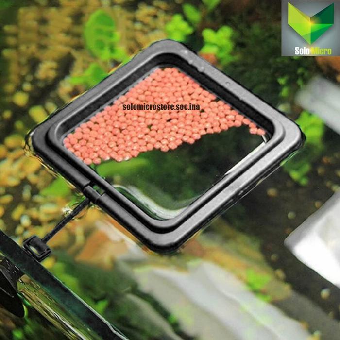 Gambar TEMPAT Makan Ikan Aquarium Fish Feeding Ring Floating Feeder dari SOLO MICRO undefined Tokopedia