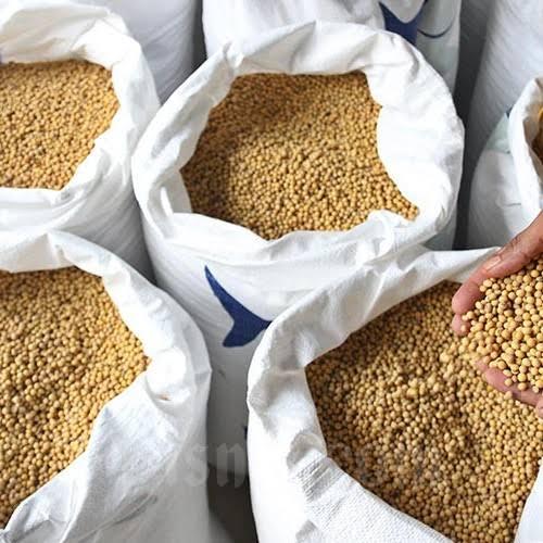 Gambar Kacang Kedelai Import 50 Kg/Kacang Kedelai Mata Hitam - 25 dari GUDANG SEMBAKO 212 undefined Tokopedia