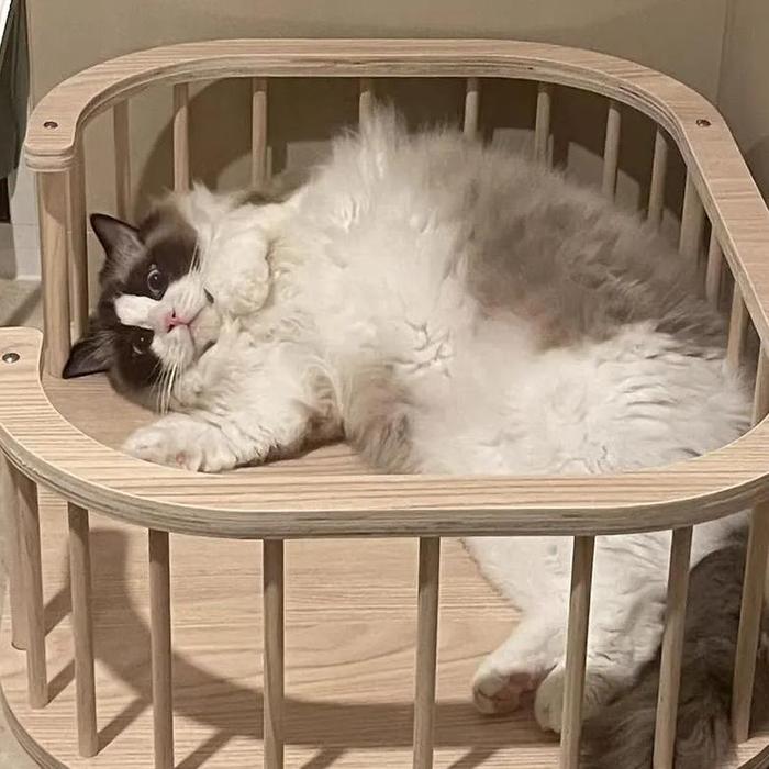 Gambar Hotsale Cat Nest Enclosure Cat Nest Pet Nest Cat Bed Cat Supplies dari CarToys37 undefined Tokopedia