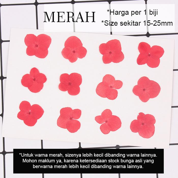 Gambar Bunga Kering ASLI HYDRANGEA Real Dry Pressed Flower Isi Resin Nail Art - Merah dari Queen Sunny undefined Tokopedia