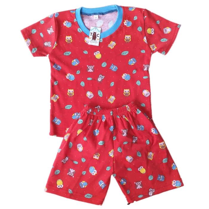 Gambar Setelan Anak Harian Cewek Cowok Motif Karakter Adem Usia 2 3 Tahun Lengan pendek Katun - XS 571 (1-2th) dari TODY CORNER undefined Tokopedia
