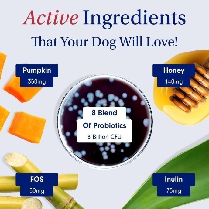 Gambar Super Murah! Petlab Co. Probiotics Chew - Support Healthy Gut & dari Tikonihhh undefined Tokopedia