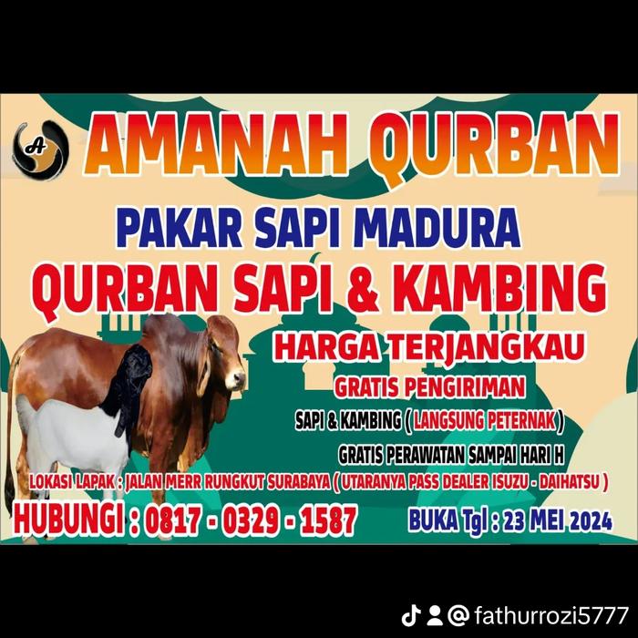 Gambar Qurban Sapi Berkwalitas 2024 Gratis Ongkir+Pemeliharaan Sampai Hari H Lokasi Merr rungkut surabaya utaranya pas dealer daihatsu buka tgl 23 Mei 2024 - 600Kg an dari Amanahku Shop undefined Tokopedia