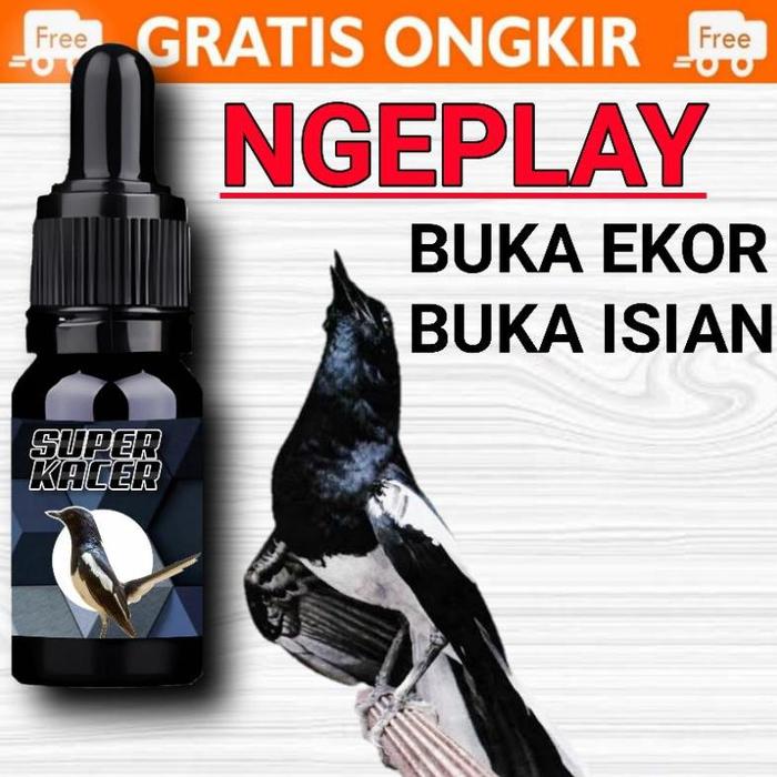 Gambar SUPER KACER GACOR FIGHTER NGOBRA BUKA ISIAN VOLUME TEMBUS dari Mosca_mart undefined Tokopedia