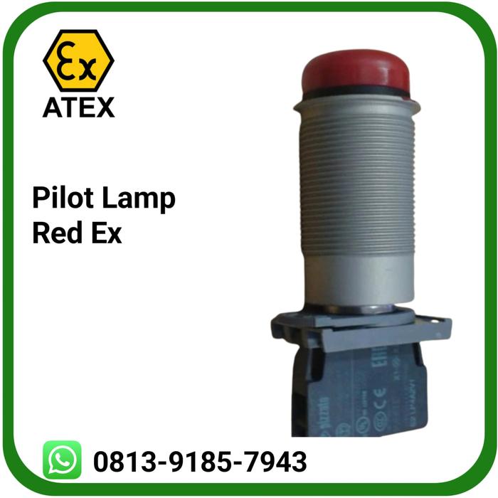 Gambar Pilot Lamp 24 VDC Explosion Proof SUPERMEC for Ex d Junction Box Panel - Merah dari Salman Sparepart undefined 2 Tokopedia