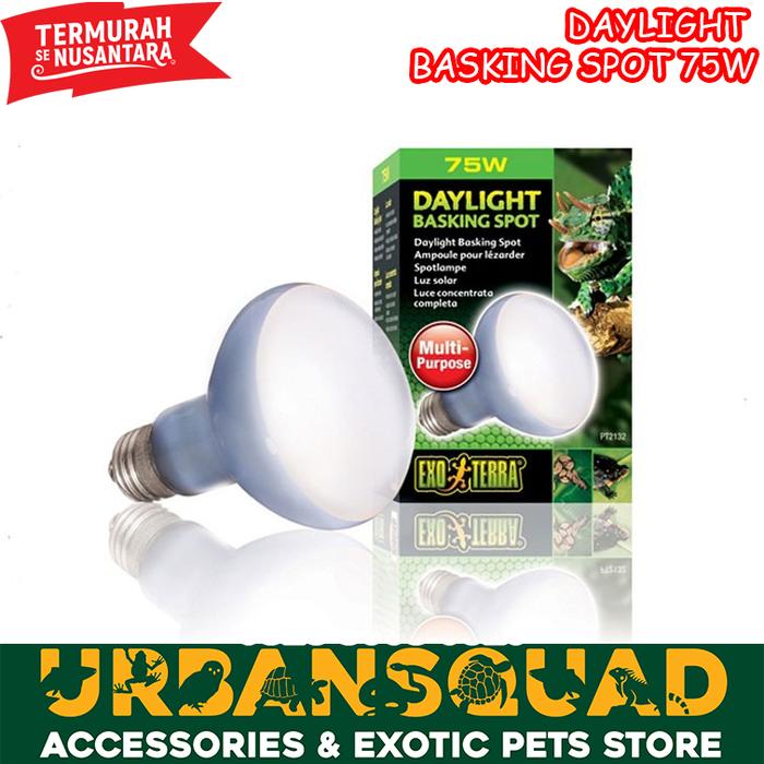 Jual Exoterra Daylight Uva 75Watt Lampu Reptile Sun glo Basking