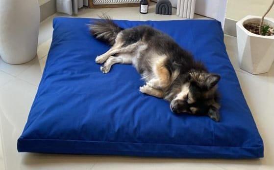 Gambar Cover sady pillow (hanya cover saja) - Biru dari mypawbed undefined Tokopedia