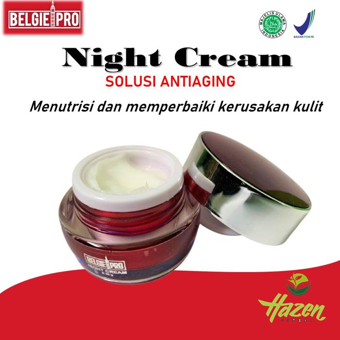 Gambar Belgie Pro Day - Cream Night Cream Pelembab Wajah dengan Propolis - Night cream  dari HAZEN HERBAL undefined Tokopedia