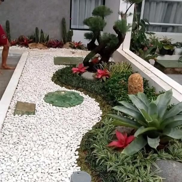 Gambar taman batu koral + bonsai dari Surgataman undefined Tokopedia