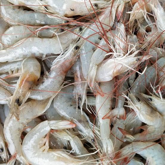 Gambar Udang Segar Frozen - Udang Kecil, 500 gram dari Atadil Mart undefined Tokopedia