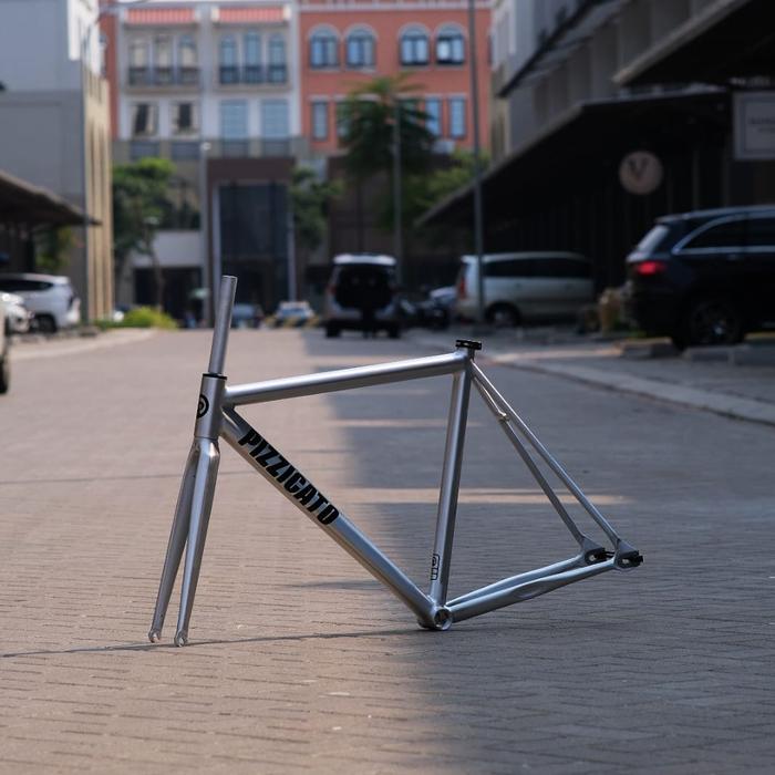 Gambar Frameset Pizz pizzicato 2022 fixie - polish, 50 dari VeloVellaz 1 undefined Tokopedia