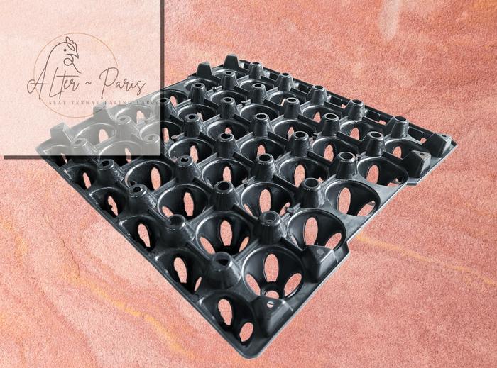 Gambar EGG TRAY PLASTIK HITAM 29 CM / TEMPAT TELUR AYAM 30 BUTIR / KANDANG AYAM PETELUR - BELI 1PCS dari ALTERPARIS JKT undefined Tokopedia