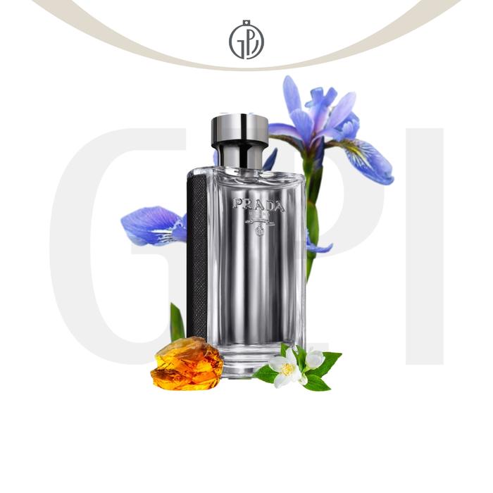 正規品] PRADA L'Homme 100ml Amazon | Prada L'Homme Eau De Toilette