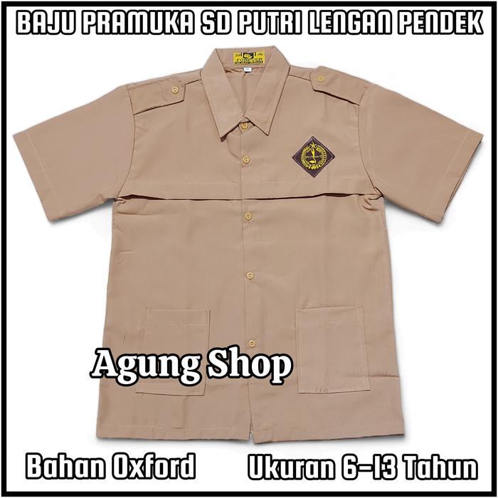 Gambar Baju Pramuka SD Putri Lengan Pendek Atasan Seragam Sekolah Pramuka Penggalang - Cokelat, 6 TAHUN dari Agung Shop Colection undefined Tokopedia