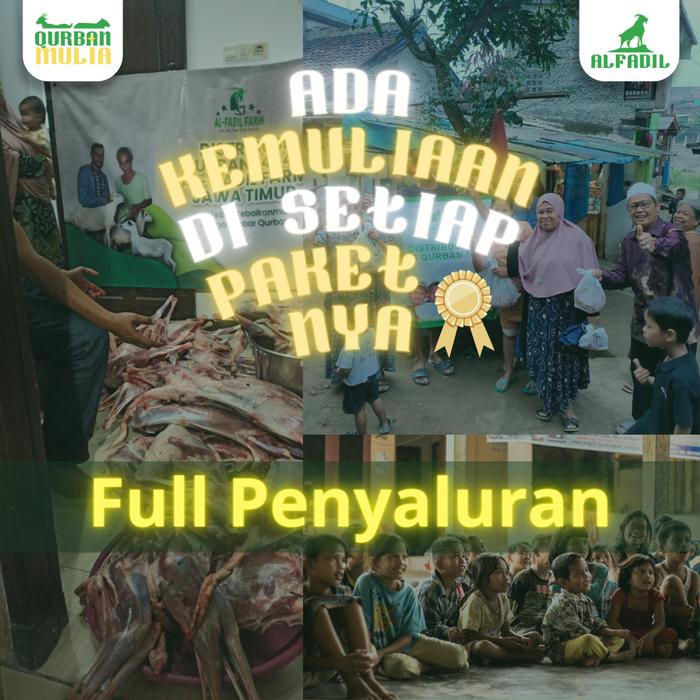 Gambar Qurban Domba Kambing Tebar Semua Bisa Berqurban [Harga Spesial] - Full Distribusi dari Alfadil farm undefined Tokopedia