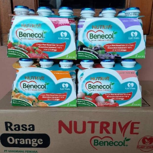 Gambar Promosi Menarik NUTRIVE BENECOL 6X100 ML beli 2 gratis 1 fibershoot - Blackurant, 6x100 ml dari delindagustamart undefined Tokopedia