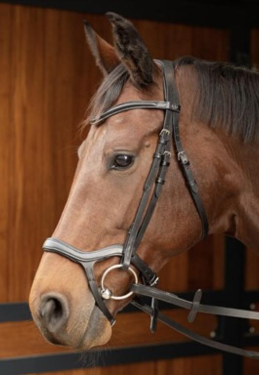 Gambar Harry’s Horse Bridle Anatomic. More comfort and improve performance. - Black, Cob dari BTS Tack Shop Kab. Tangerang Tokopedia