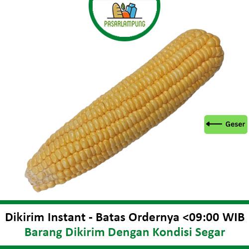 Gambar JAGUNG MANIS SEGAR /PCS PASAR LAMPUNG dari Pasar Lampung undefined Tokopedia