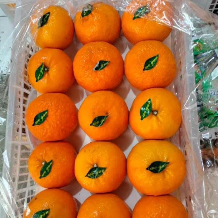 Gambar Aneka macam buah segar  dan pilihan - jeruk woogan dari Sarah Kamila Shop undefined Tokopedia