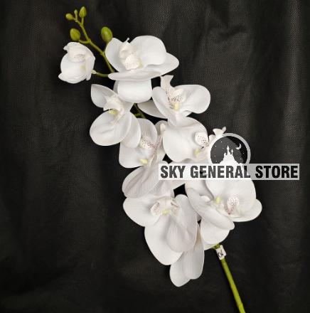 Gambar [TERBARU] Artificial Flower Bunga Anggrek Plastik Dekorasi Rumah Kekinian - Putih Polos dari Sky General Store undefined Tokopedia