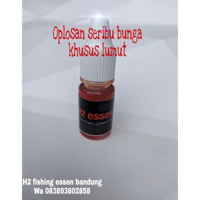 Gambar ESSEN LUMUT NILA/MUJAER H2 ESSENTIAL - Merah dari hurricenam undefined Tokopedia