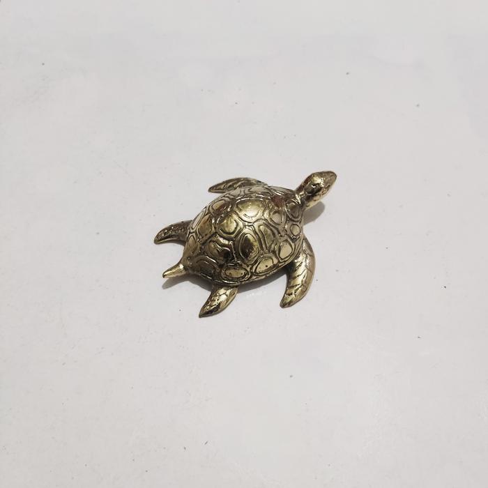 Gambar Patung Penyu 10cm Turtle Brass Kura-kura Kuningan Souvenir - L - Gold dari Mentari Bali Craft undefined Tokopedia