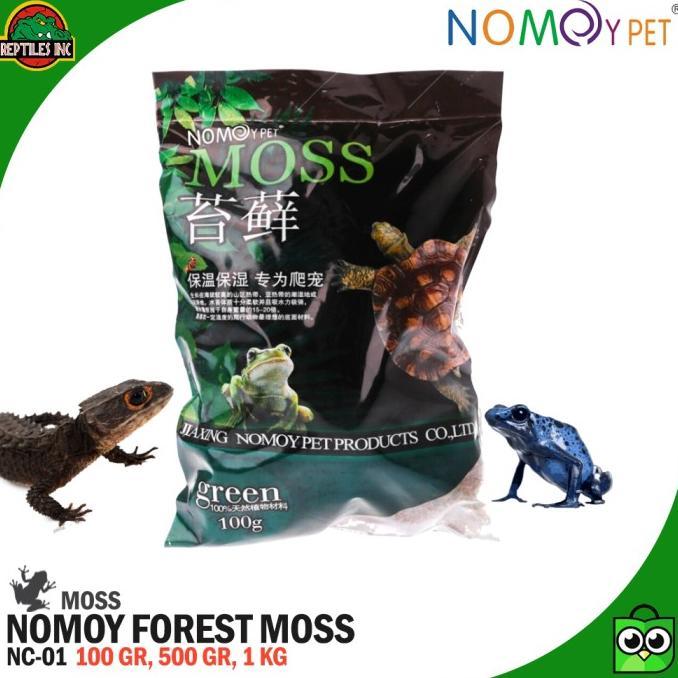 Gambar Forest Moss Alas Kandang Substrate Bedding Hewan Reptil Nomoy NC-01 - 100 gram dari marikitabelanja_ undefined Tokopedia