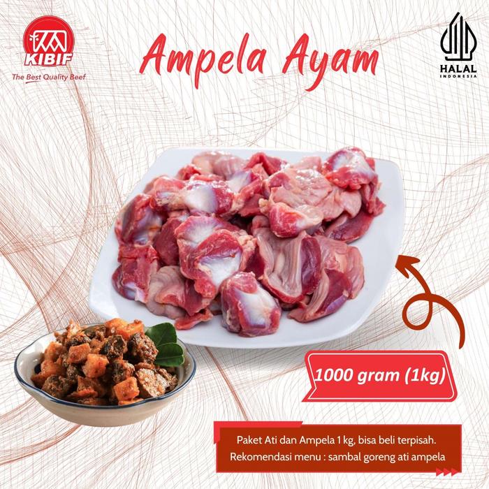 Gambar Ati Ayam dan Ampela Ayam 1kg - Ampela Ayam dari KIBIF STORE undefined Tokopedia