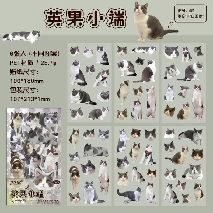 Gambar Stiker Kucing DIY Casing HP Cat Sticker Decor Stiker Bening Dekor Buku Diary YZ002 - BritishShortHai dari Glowdess undefined Tokopedia