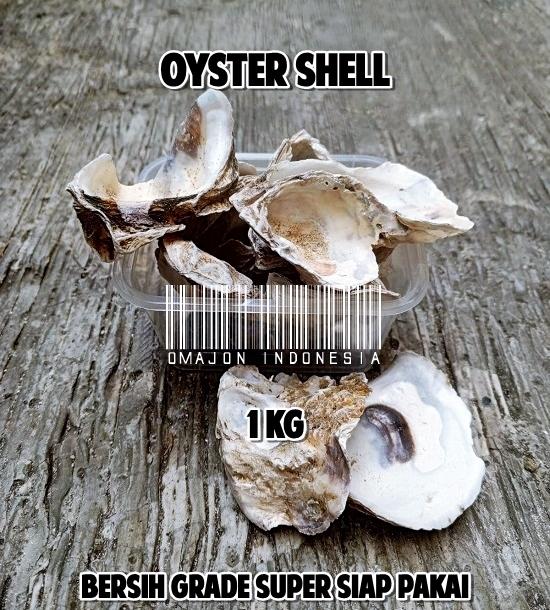 Gambar Bioball Bulat Momogi Super Media Eco Filter Penjernih Air - Oyster Shell dari Omajon Indonesia undefined Tokopedia