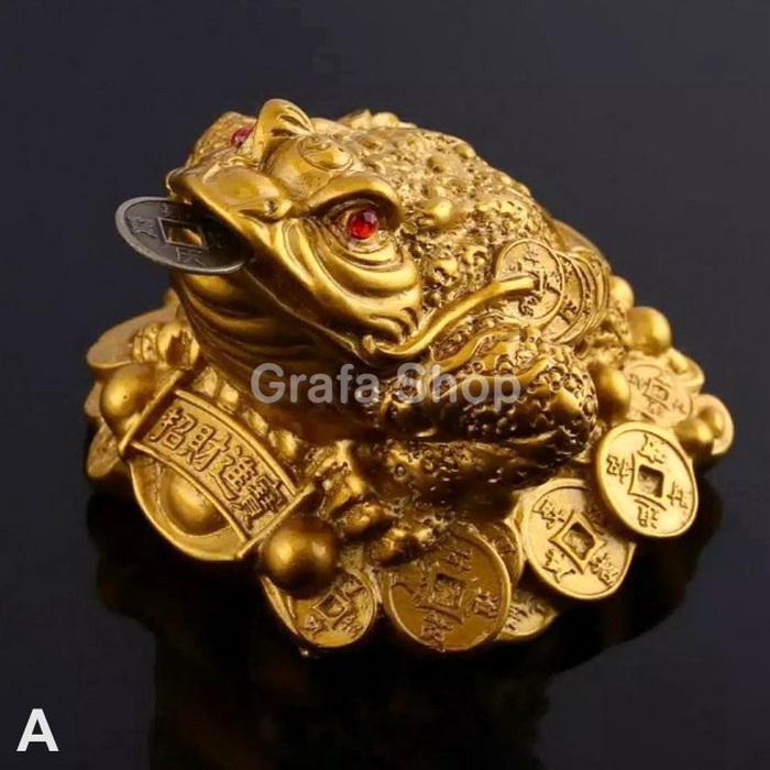 Gambar Lucky Frog Kodok Keberuntungan Kemakmuran Pajangan Feng Shui - motif B dari Grafa undefined Tokopedia