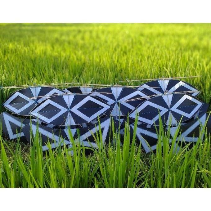 Gambar LAYANGAN GAPANGAN PEGON PLUS LAMPU LAYANGAN TERMURAH 1 meter - Layangan saja, 1meter dari MEIOSIS undefined Tokopedia