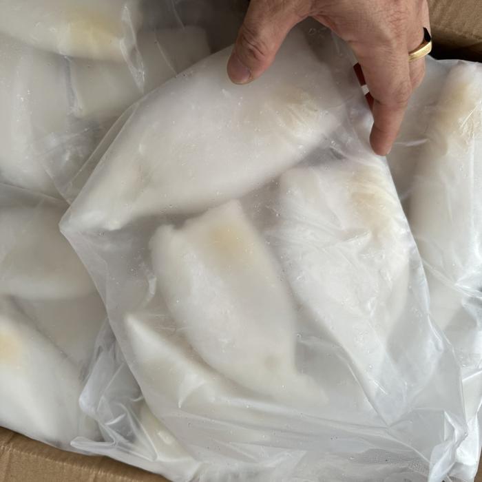 Gambar Cumi tube kupas bersih segar beku kemasan 1 kg - SIZE 5-7 dari kiatcell undefined Tokopedia