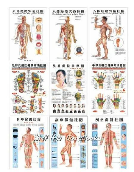Gambar 10 pcs Scrapping healthcare human acupuncture wall chart diagram foot hand head ear acupuncture meridian chart dari Endless Shards undefined Tokopedia