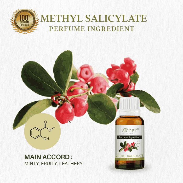 Gambar Sicher Natural Isolate Oil Perfume Ingredient / RAW Material Methyl Salicylate - 10ml dari aromatician undefined Tokopedia