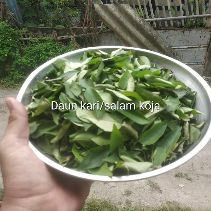 Gambar gudang daun kari kering 10 gram dari CITRA NIAGA SENTOSA undefined Tokopedia