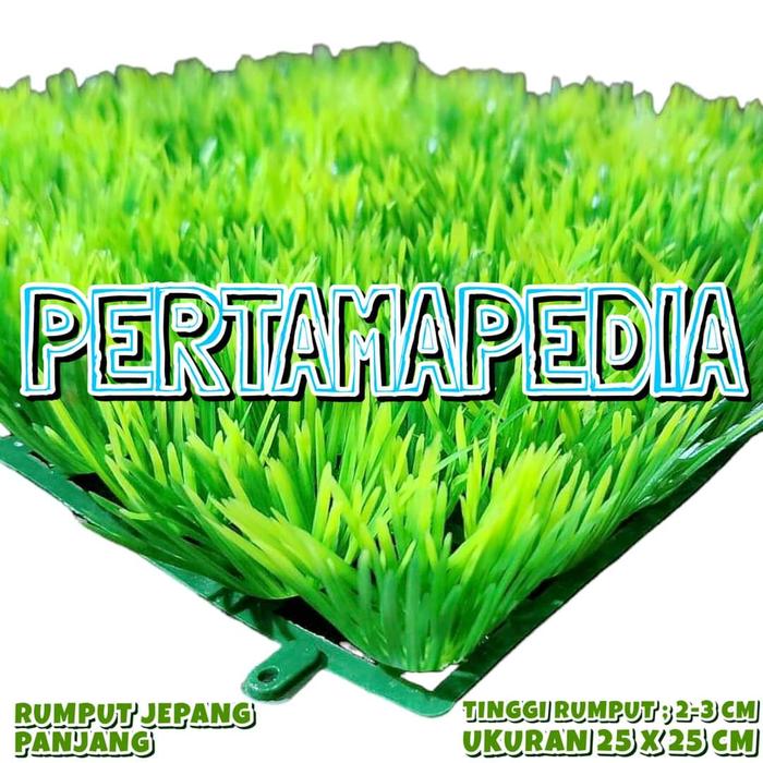 Gambar Rumput Artificial/ Rumput Aquarium/ Rumput Hias Sintetis Jepang Pendek - RumptJep.Pendek dari Pertamapedia Shop undefined 2 Tokopedia