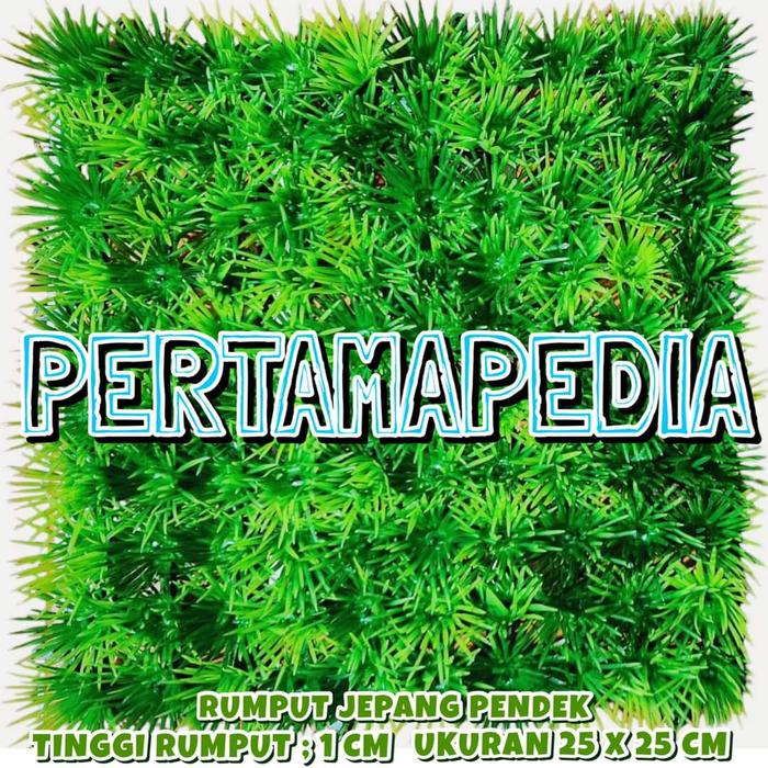 Gambar Rumput Artificial/ Rumput Aquarium/ Rumput Hias Sintetis Jepang Pendek - RumptJep.Pendek dari Pertamapedia Shop undefined 3 Tokopedia