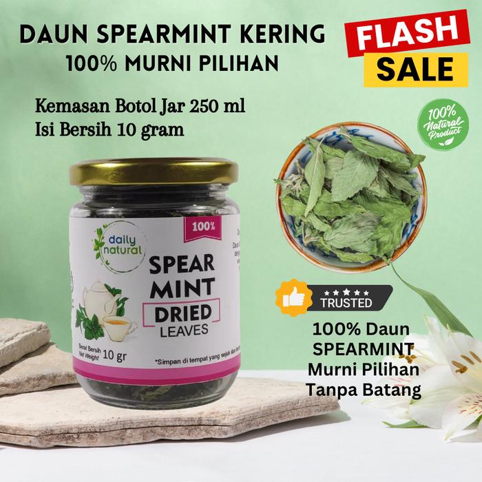 Gambar Daun Spearmint Kering Premium Tanpa Batang, Teh Daun Mint Herbal Atasi Jerawat dan Seimbangkan Hormon - Botol (10 gr) dari Pilapilih undefined Tokopedia