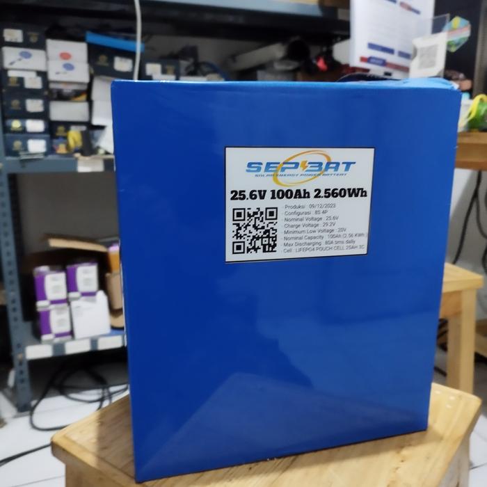 Premium Battery Pack lithium Lifepo4 24V 25.6V 50Ah 75Ah 100Ah 200Ah Baterai Charger - 24V 100Ah