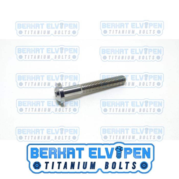 Gambar Baut Titanium BIG HEAD M10x60 Drat 14 Panjang 60mm 6cm - Silver dari Berkat_Elvipen undefined Tokopedia