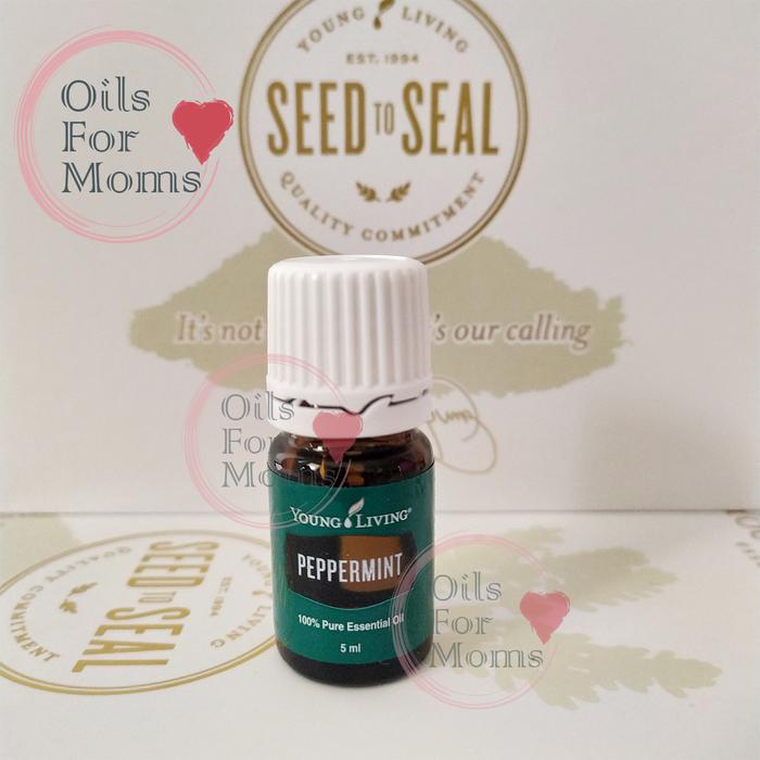 Gambar Peppermint young oil living 5ml 15ml segel ori - 5ml dari OiLoilku undefined Tokopedia